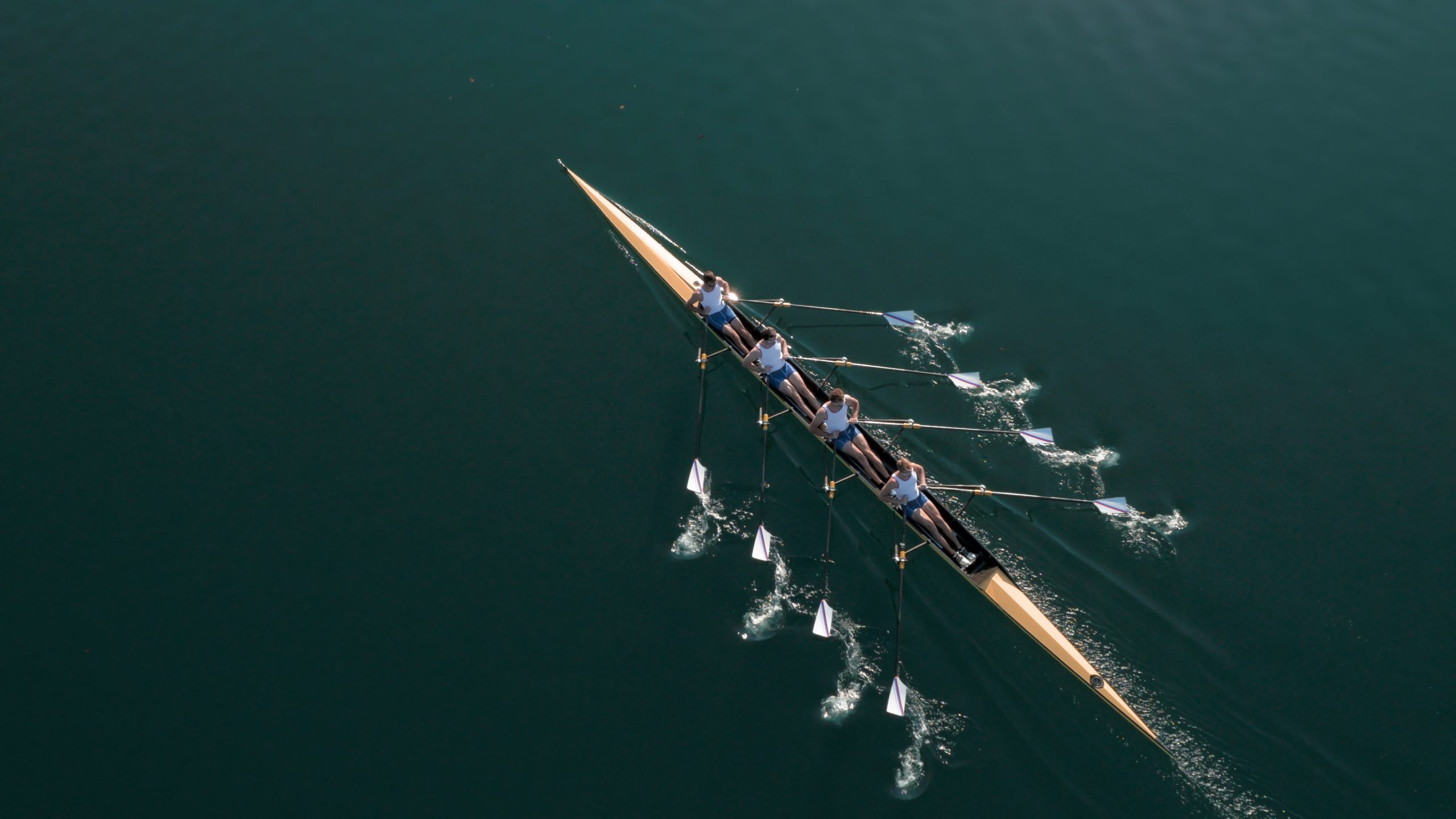 At the heart of our success is a team driven by experience and commitment